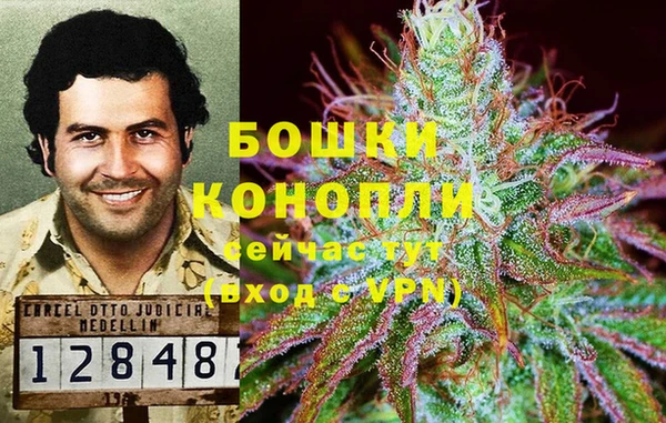 каннабис Арсеньев