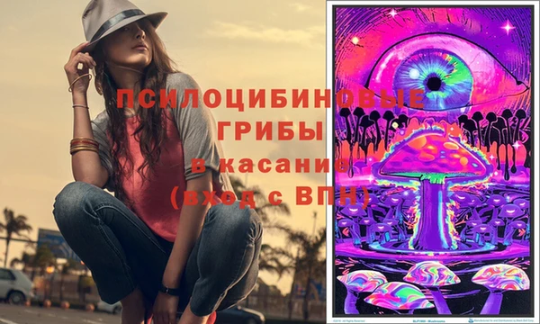 каннабис Арсеньев