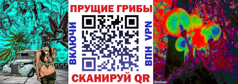 сколько стоит  Оханск  Псилоцибиновые грибы Magic Shrooms 